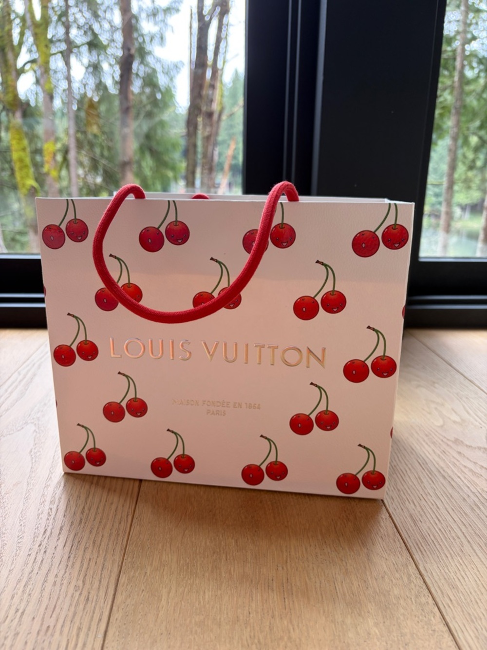 Louis Vuitton Murakami Cherry Print Pink Gift Bag with Red Rope Handles